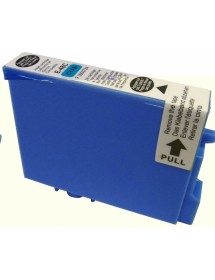 UP-E-48C-EPSON STY PHOT R300T048-C