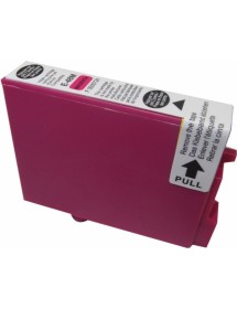 UP-E-48M-EPSON STY PHOT R300-T048-M