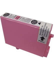 UP-E-48LM-EPSON STY PHOT R300-T048-LM